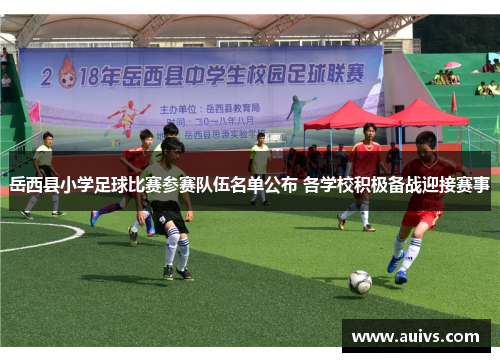 岳西县小学足球比赛参赛队伍名单公布 各学校积极备战迎接赛事